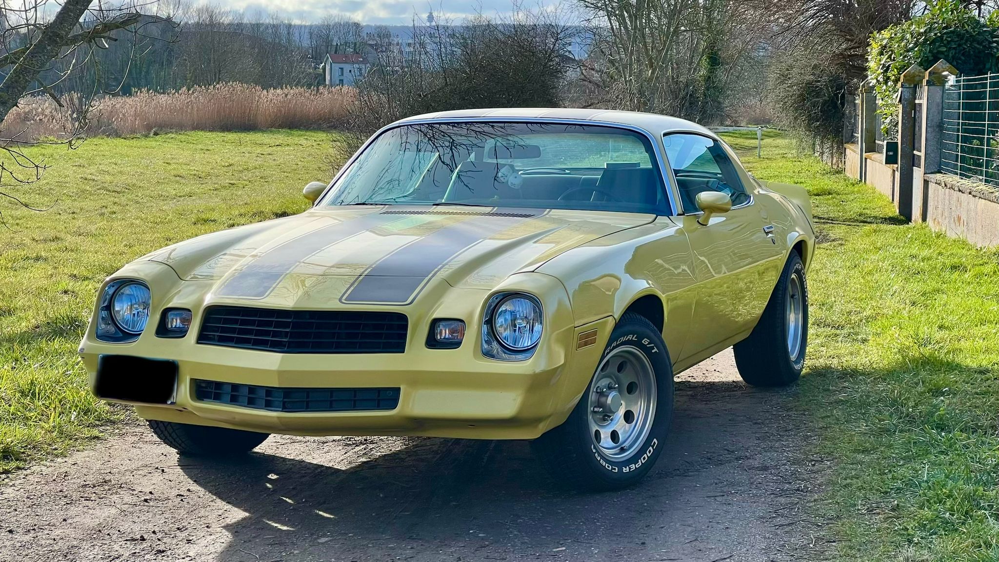 Chevrolet Camaro 1979