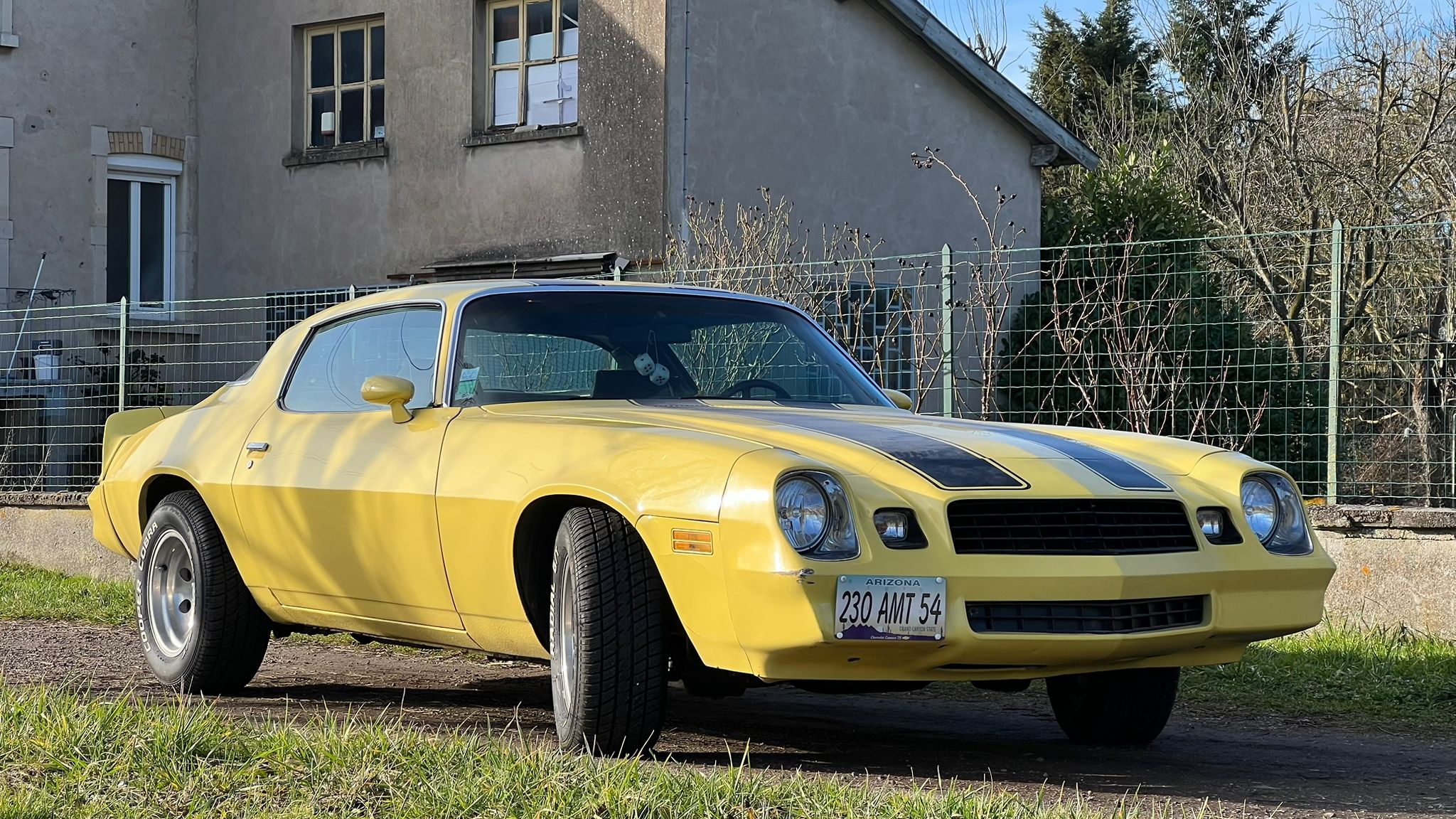 Chevrolet Camaro 1979 – Image 3