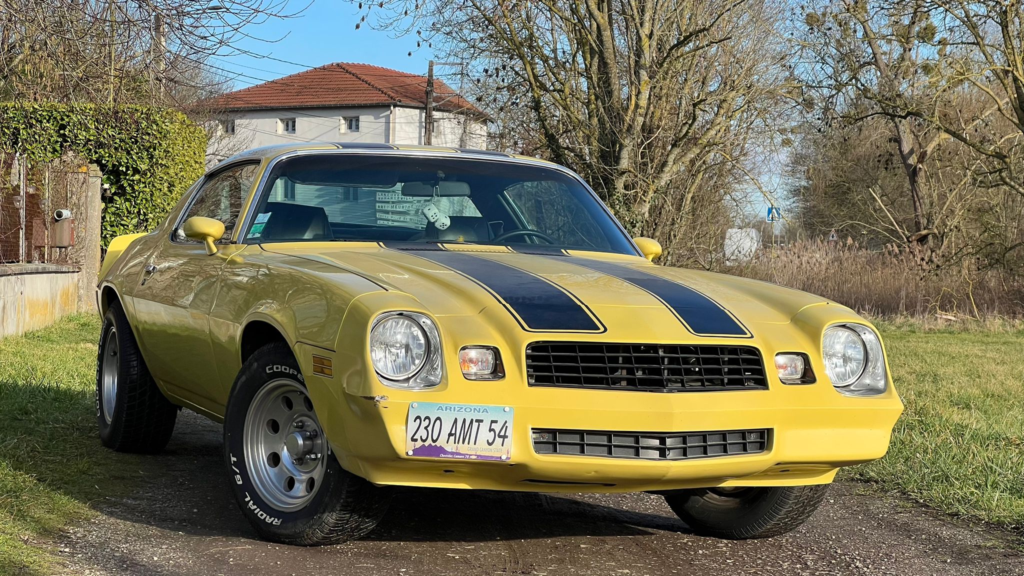 Chevrolet Camaro 1979 – Image 4